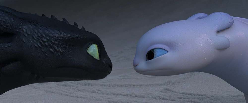 How to Train Your Dragon The Hidden World Toothless and the Light Fury