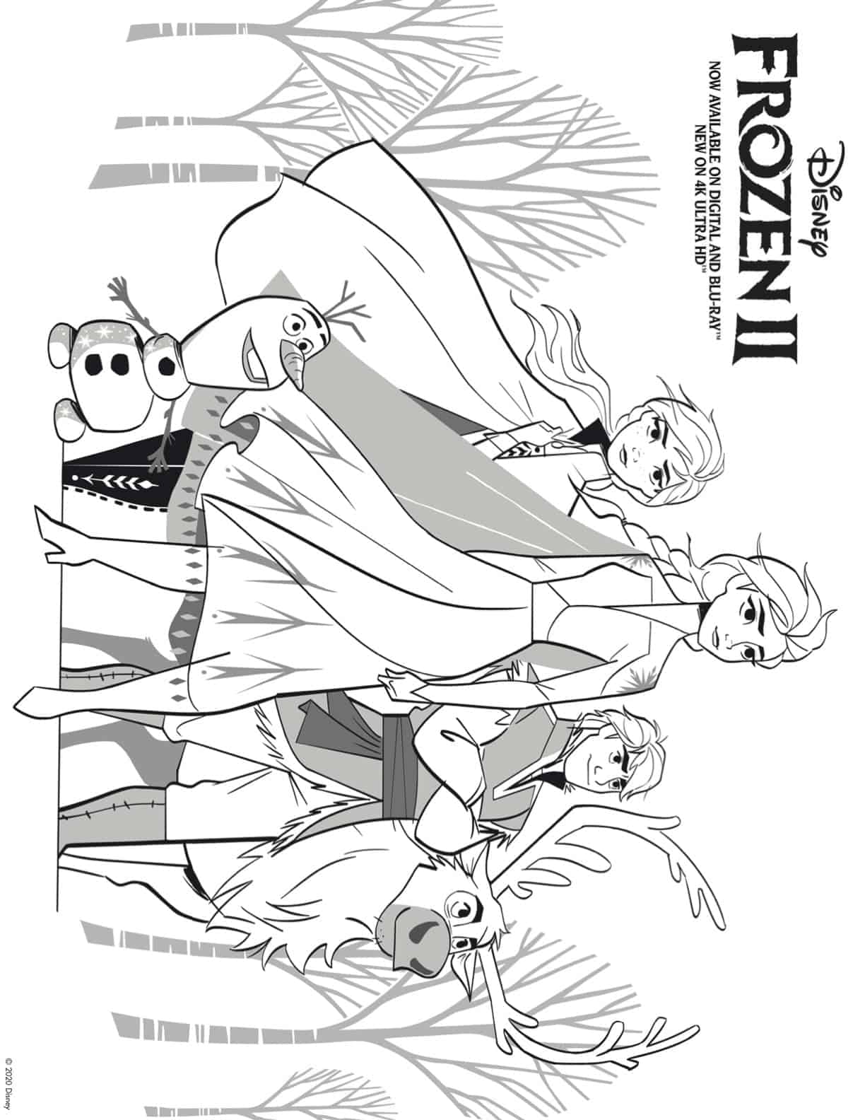 elsa and olaf coloring pages jpg