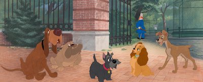Lady Tramp and friends at the zoo