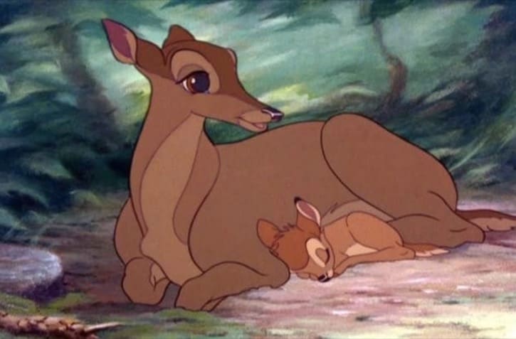 Bambi sleeping next to his mother side on the ground