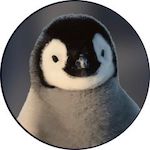 Penguin Disney Plus Icon