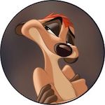 Timone Disney Plus Icon