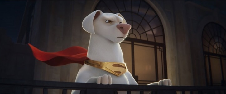 Krypto with his red cape and gold collar