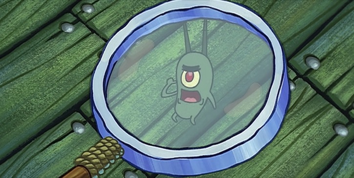 Plankton under a magnifying glass