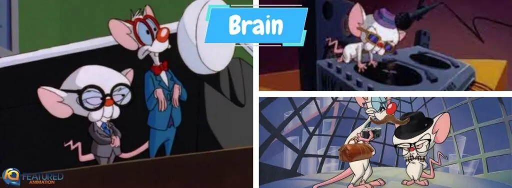 brain in pinky and the brain