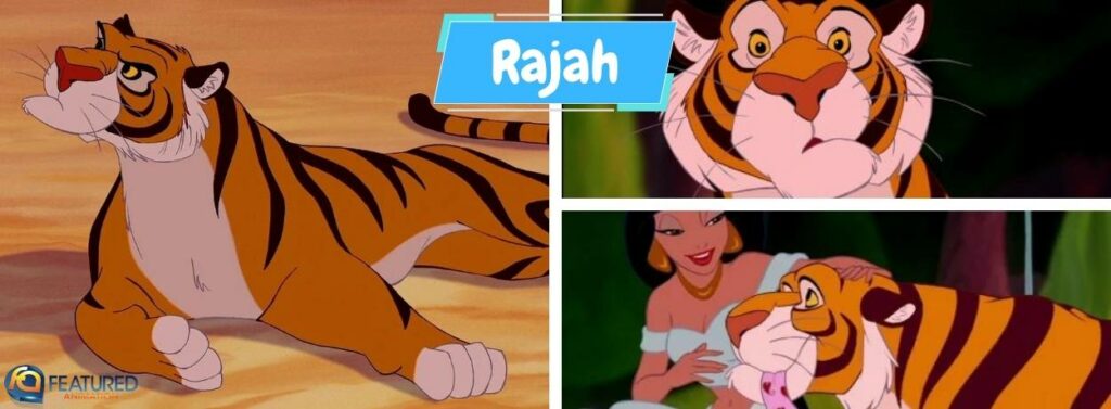 Rajah in Aladdin