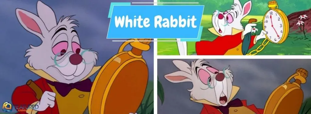 White Rabbit in Alice in Wonderland