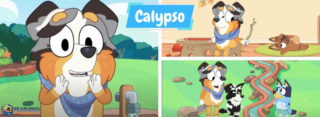 Calypso in Bluey