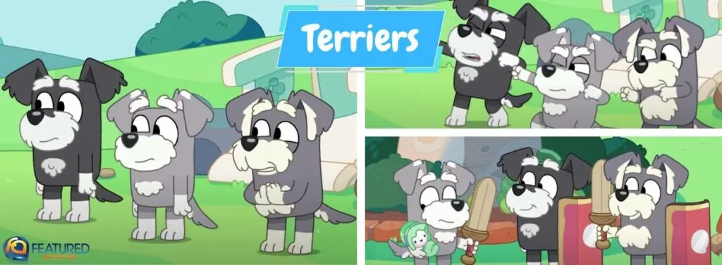 The Terriers in Bluey